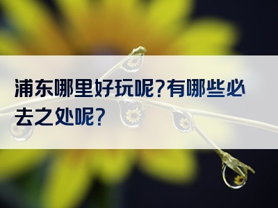 浦东哪里好玩呢？有哪些必去之处呢？