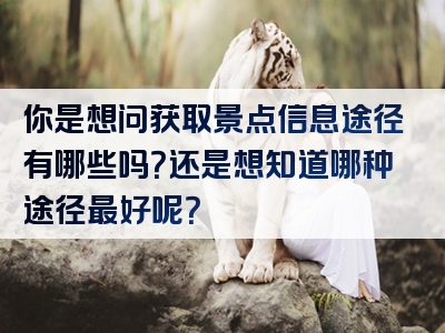 你是想问获取景点信息途径有哪些吗？还是想知道哪种途径最好呢？