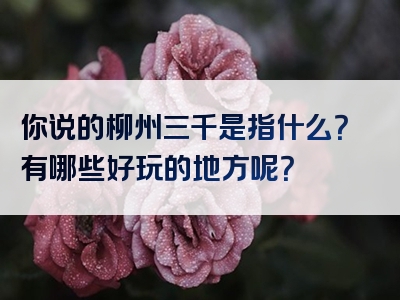 你说的柳州三千是指什么？有哪些好玩的地方呢？
