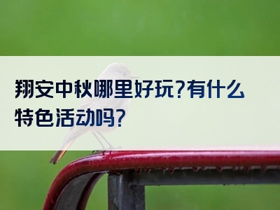 翔安中秋哪里好玩？有什么特色活动吗？