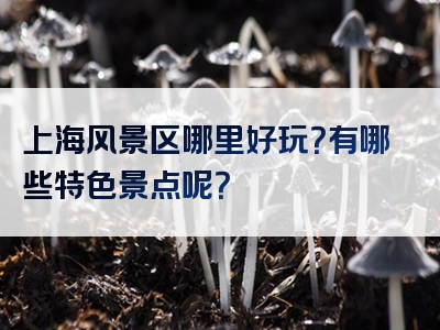 上海风景区哪里好玩？有哪些特色景点呢？
