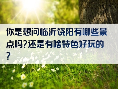 你是想问临沂饶阳有哪些景点吗？还是有啥特色好玩的？