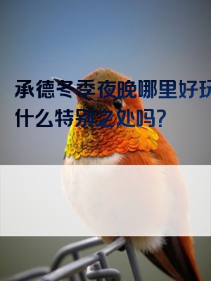 承德冬季夜晚哪里好玩？有什么特别之处吗？