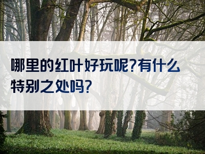 哪里的红叶好玩呢？有什么特别之处吗？