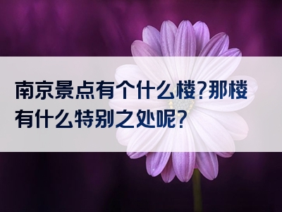 南京景点有个什么楼？那楼有什么特别之处呢？