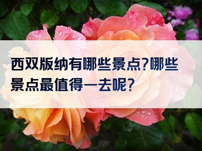 西双版纳有哪些景点？哪些景点最值得一去呢？