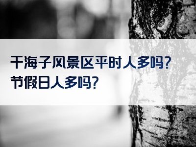 干海子风景区平时人多吗？节假日人多吗？