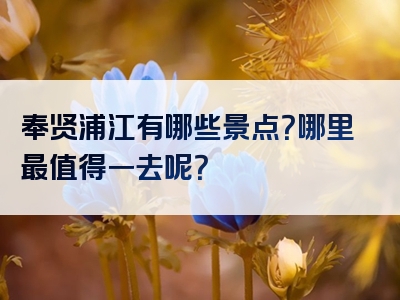 奉贤浦江有哪些景点？哪里最值得一去呢？