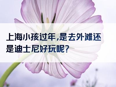 上海小孩过年，是去外滩还是迪士尼好玩呢？
