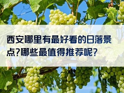 西安哪里有最好看的日落景点？哪些最值得推荐呢？