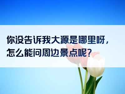 你没告诉我大源是哪里呀，怎么能问周边景点呢？