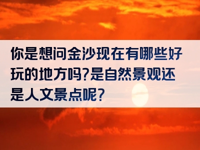 你是想问金沙现在有哪些好玩的地方吗？是自然景观还是人文景点呢？