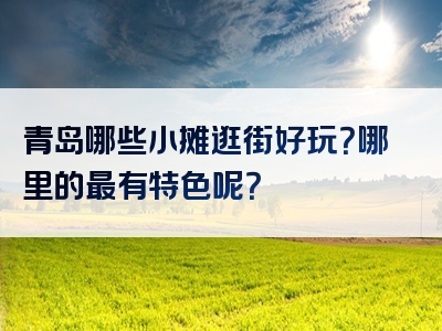 青岛哪些小摊逛街好玩？哪里的最有特色呢？