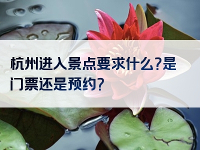 杭州进入景点要求什么？是门票还是预约？
