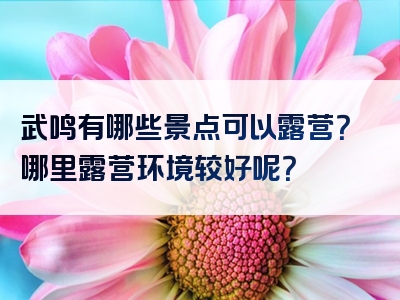 武鸣有哪些景点可以露营？哪里露营环境较好呢？