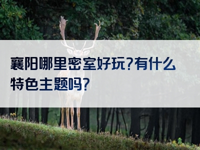 襄阳哪里密室好玩？有什么特色主题吗？