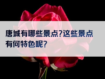 唐城有哪些景点？这些景点有何特色呢？