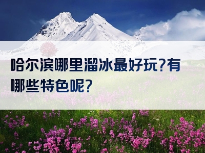 哈尔滨哪里溜冰最好玩？有哪些特色呢？