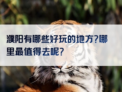 濮阳有哪些好玩的地方？哪里最值得去呢？