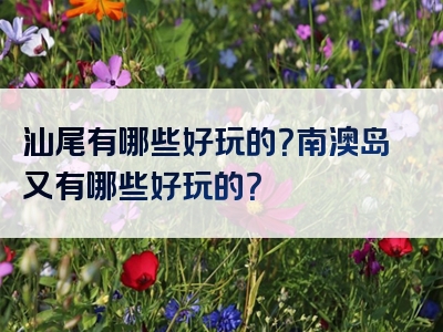 汕尾有哪些好玩的？南澳岛又有哪些好玩的？