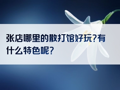张店哪里的散打馆好玩？有什么特色呢？