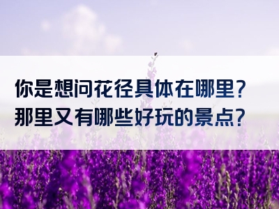 你是想问花径具体在哪里？那里又有哪些好玩的景点？