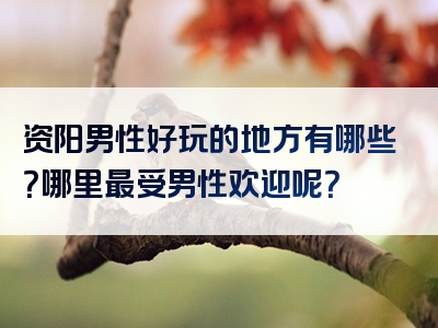 资阳男性好玩的地方有哪些？哪里最受男性欢迎呢？