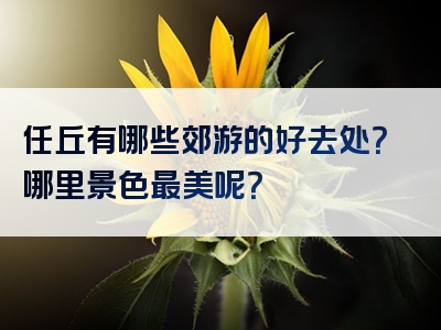 任丘有哪些郊游的好去处？哪里景色最美呢？