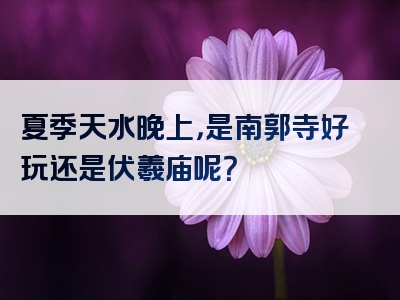 夏季天水晚上，是南郭寺好玩还是伏羲庙呢？