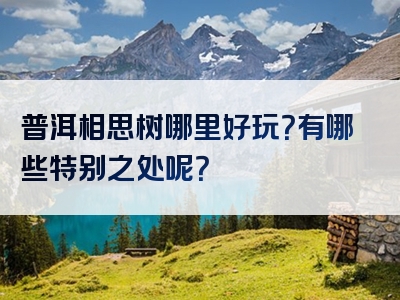 普洱相思树哪里好玩？有哪些特别之处呢？