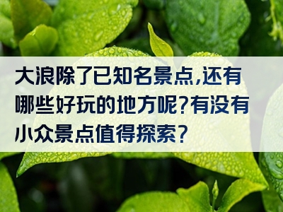 大浪除了已知名景点，还有哪些好玩的地方呢？有没有小众景点值得探索？