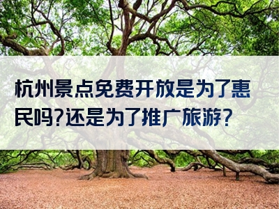 杭州景点免费开放是为了惠民吗？还是为了推广旅游？