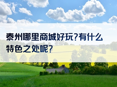 泰州哪里商城好玩？有什么特色之处呢？