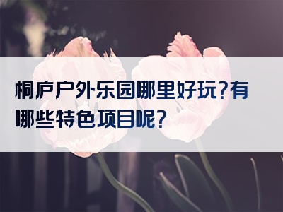 桐庐户外乐园哪里好玩？有哪些特色项目呢？