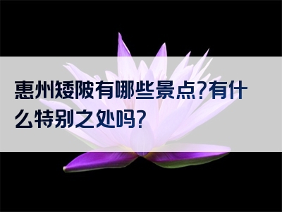 惠州矮陂有哪些景点？有什么特别之处吗？