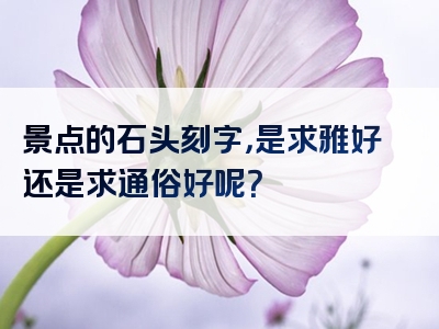 景点的石头刻字，是求雅好还是求通俗好呢？