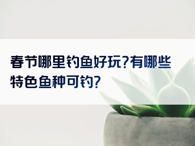 春节哪里钓鱼好玩？有哪些特色鱼种可钓？