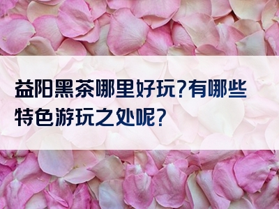 益阳黑茶哪里好玩？有哪些特色游玩之处呢？