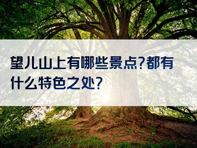 望儿山上有哪些景点？都有什么特色之处？