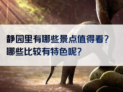 静园里有哪些景点值得看？哪些比较有特色呢？