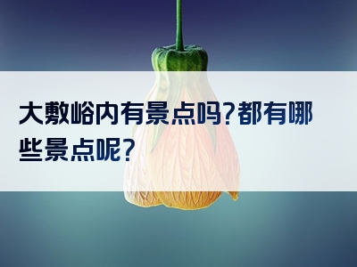 大敷峪内有景点吗？都有哪些景点呢？