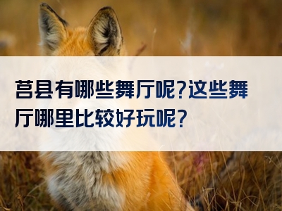 莒县有哪些舞厅呢？这些舞厅哪里比较好玩呢？