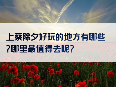 上蔡除夕好玩的地方有哪些？哪里最值得去呢？
