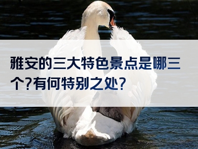 雅安的三大特色景点是哪三个？有何特别之处？