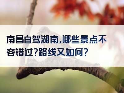 南昌自驾湖南，哪些景点不容错过？路线又如何？