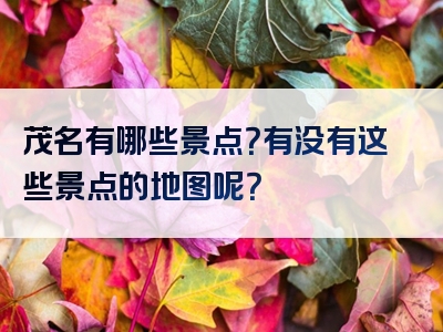 茂名有哪些景点？有没有这些景点的地图呢？