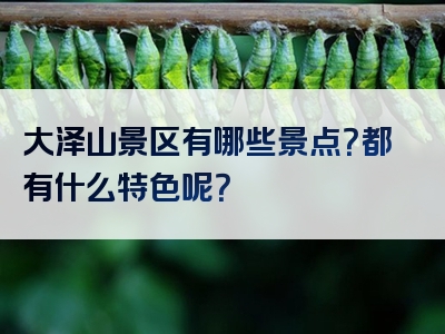 大泽山景区有哪些景点？都有什么特色呢？
