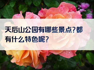 天后山公园有哪些景点？都有什么特色呢？