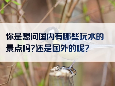 你是想问国内有哪些玩水的景点吗？还是国外的呢？