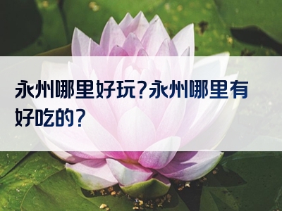永州哪里好玩？永州哪里有好吃的？